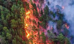Дорнод аймагт хээрийн түймэр гарч, 152 га талбай шатжээ