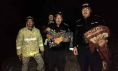 Баянзүрх ууланд модноос дүүжлэгдсэн байсан хүүгийн амийг аварчээ