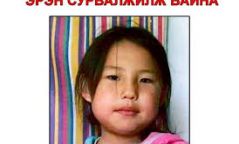 Д.Сэржмядаг охиныг БНХАУ-ын хилээр нэвтрээгүй гэв
