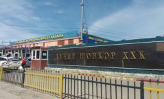 "Хүчит шонхор" захыг 29 сая төгрөгөөр торгожээ