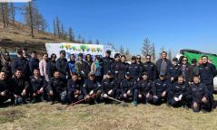 Нийслэлийн төвийн зургаан дүүргийн 5000 орчим айл өрхийн хашаанд мод тарилаа