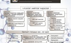 ИНФОГРАФИК: Малын генетик нөөцийн тухай хуулийн танилцуулга