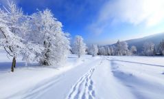Ирэх сарын цаг агаарын төлөв