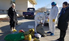 Их хэмжээний тарваганы тулам тээвэрлэж явжээ