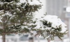 Улаанбаатарт 15 градус хүйтэн байна