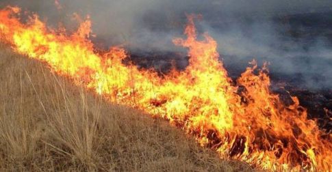 Сэлэнгэ аймгийн Ерөө суманд гарсан ойн түймрийг унтраахаар ажиллаж байна