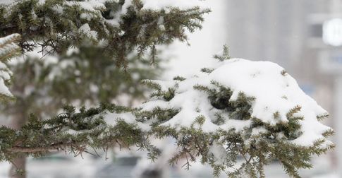 Улаанбаатарт 15 градус хүйтэн байна