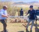 Суурьшлын бүсээс тарвагыг шилжүүлэн нутагшууллаа