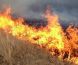 Сэлэнгэ аймгийн Ерөө суманд гарсан ойн түймрийг унтраахаар ажиллаж байна