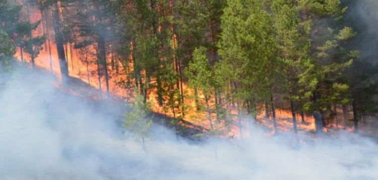 Сэрэмжлүүлэг:Түймрийн хуурайшилт ихтэй үед ой, хээрт ил задгай гал түлэхээс татгалзаарай